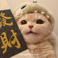 Reviewer Avatar - Priya